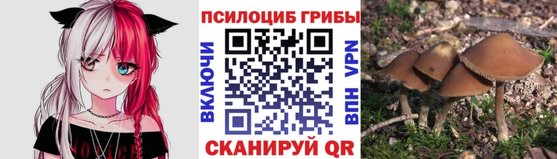 Галлюциногенные грибы прущие грибы  купить наркотики сайты  Кашира 